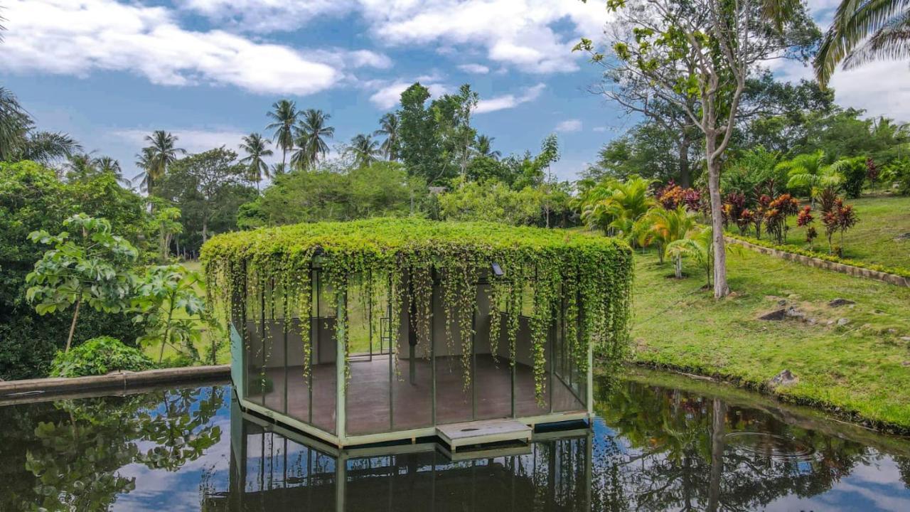 Lagoon Village B&B Y Spa ตาราโปโต ภายนอก รูปภาพ