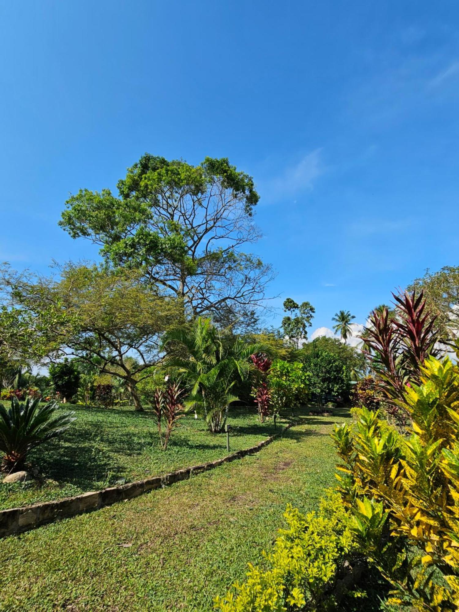 Lagoon Village B&B Y Spa ตาราโปโต ภายนอก รูปภาพ